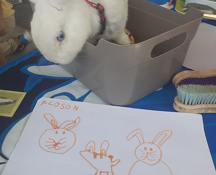 Le doux lapin Flocon