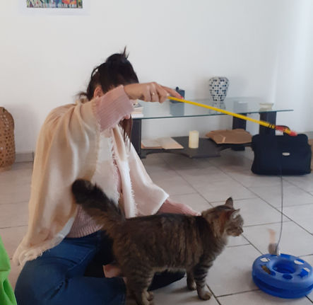 Se former en médiation animale avec "Zoothérapie Réunion"