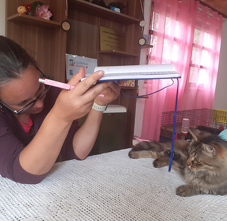 Cécile, enseignante pourra transmettre sa pratique en médiation animale à ses élèves au collège