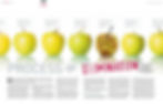 A row of apples with the fifth apple in the row shown as clearly rotten