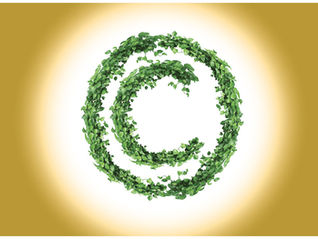 Copyright Chaos: Figuring Out Who Owns What in Today’s Tangled Publishing Jungle