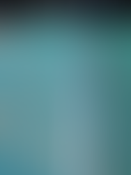 Step 4 - Iron selvage edges