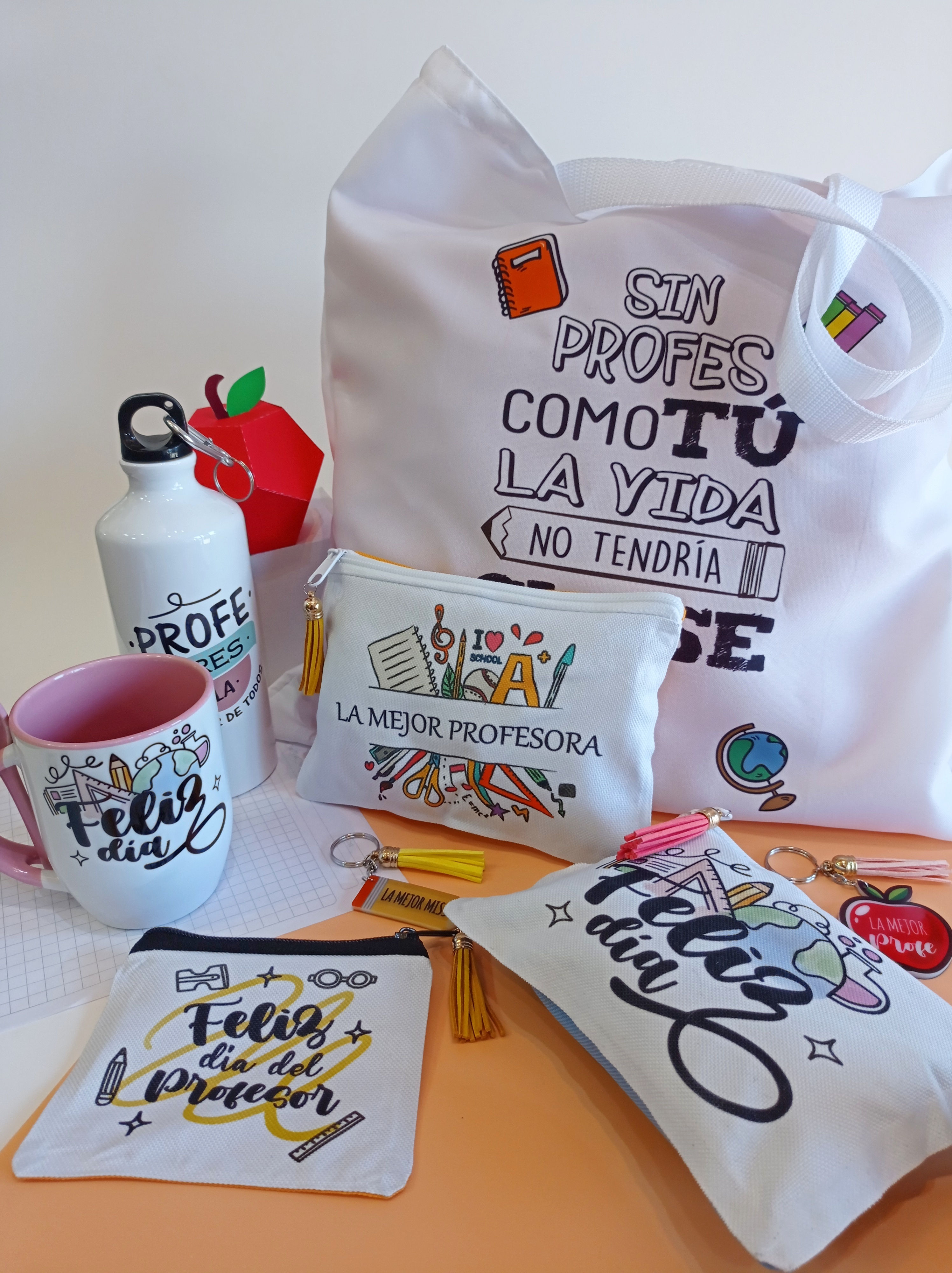 Bolsa para profesores