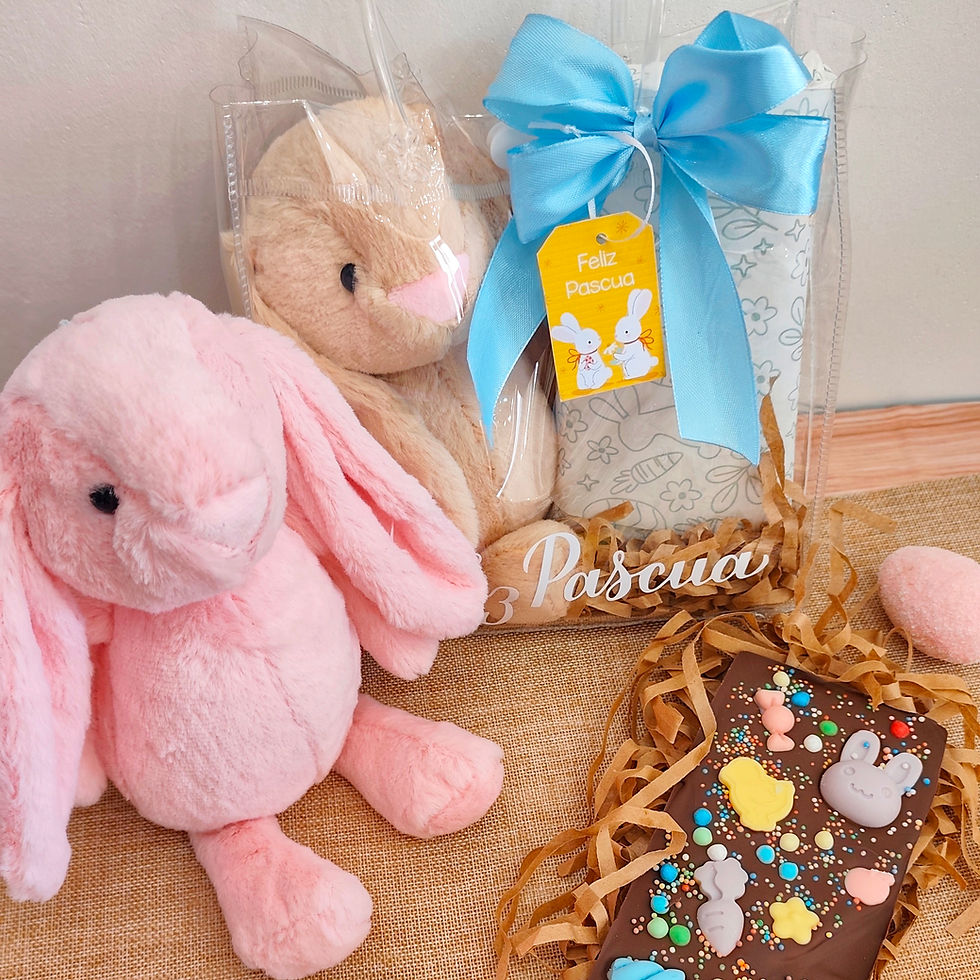 Miniatura: Peluche de Pascua y barra de chocolate  | Regalo Dulce