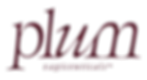 Plum-Vagi_Logo_Wordmark_Plum (1).webp