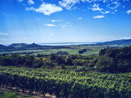Sipping Serenity: The Top 5 Wine Terraces in North Balaton