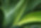 iStock-178978574.jpg