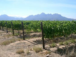 Stellenbosch, South Africa