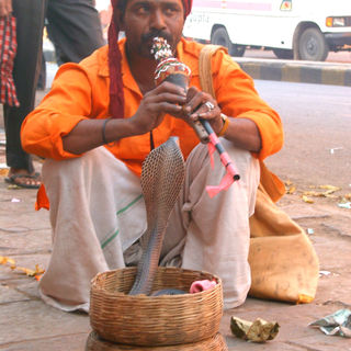 snake tamer
