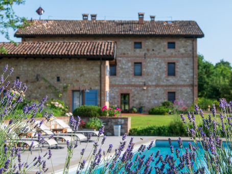 A New Season Begins at Podere Prasiano!
