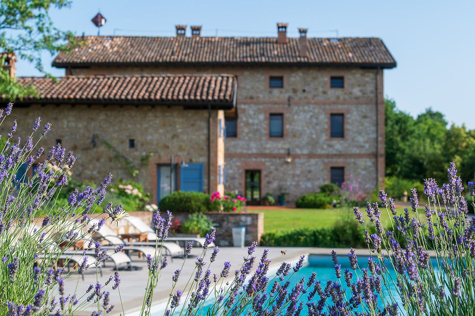 A New Season Begins at Podere Prasiano!