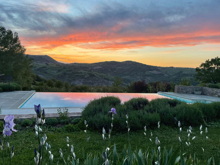 Our beautiful infinity pool is open!