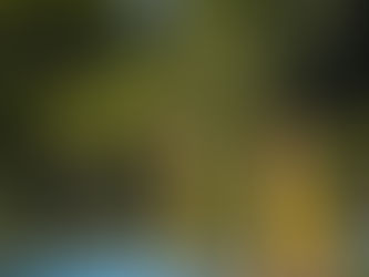 GAS VENCE PROGRESSO E ESTREIA COM O PÉ DIREITO NO RORAIMENSE SUB-17