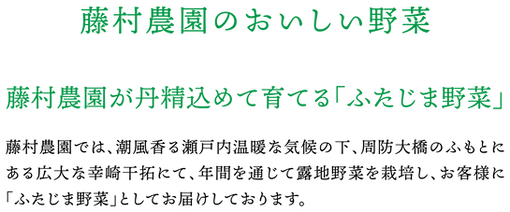 株式会社藤村農園,藤村敏浩,二島野菜,苗,幸崎干拓,山口県山口市秋穂二島,おいしい野菜,