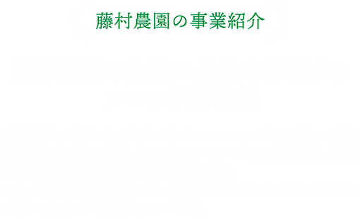 株式会社藤村農園,藤村敏浩,二島野菜,苗,幸崎干拓,山口県山口市秋穂二島,事業紹介,