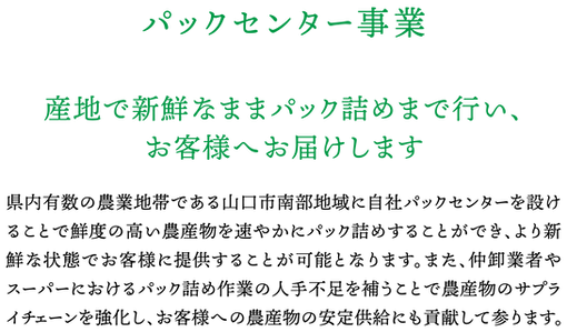 株式会社藤村農園,藤村敏浩,二島野菜,苗,幸崎干拓,山口県山口市秋穂二島,パックセンター事業,