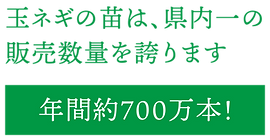 株式会社藤村農園,藤村敏浩,二島野菜,苗,幸崎干拓,山口県山口市秋穂二島,強い苗,