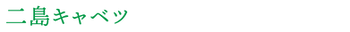 株式会社藤村農園,藤村敏浩,二島野菜,苗,幸崎干拓,山口県山口市秋穂二島,おいしい野菜,二島キャベツ,