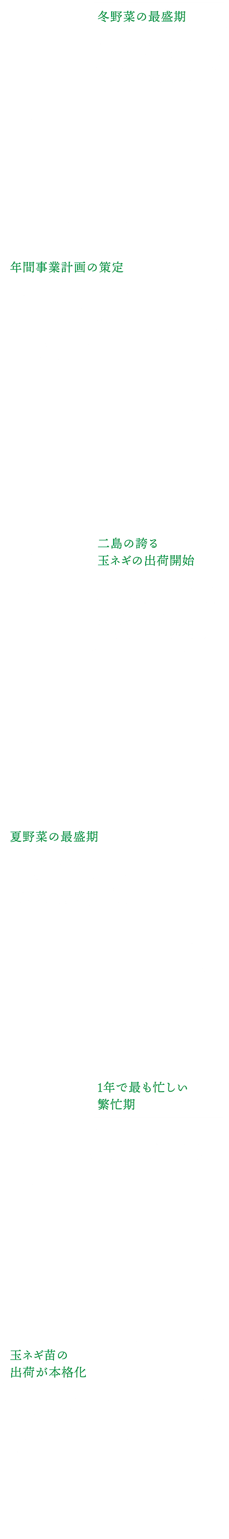 株式会社藤村農園,藤村敏浩,二島野菜,苗,幸崎干拓,山口県山口市秋穂二島,年間のスケジュール,