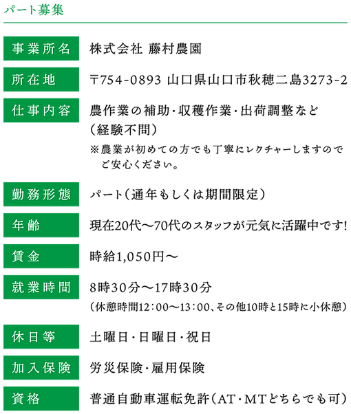 株式会社藤村農園,藤村敏浩,二島野菜,苗,幸崎干拓,山口県山口市秋穂二島,リクルート,パート募集,