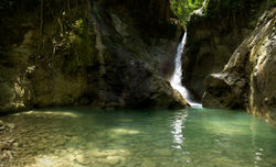 Aprecio la Naturaleza