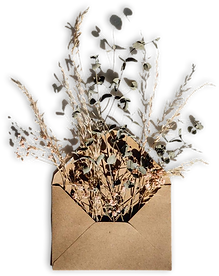 envelope com flores newsletter