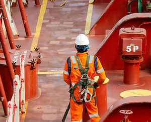 pierre-chatel-innocenti-Lk-nu_hX6ms-unsplash 2.png