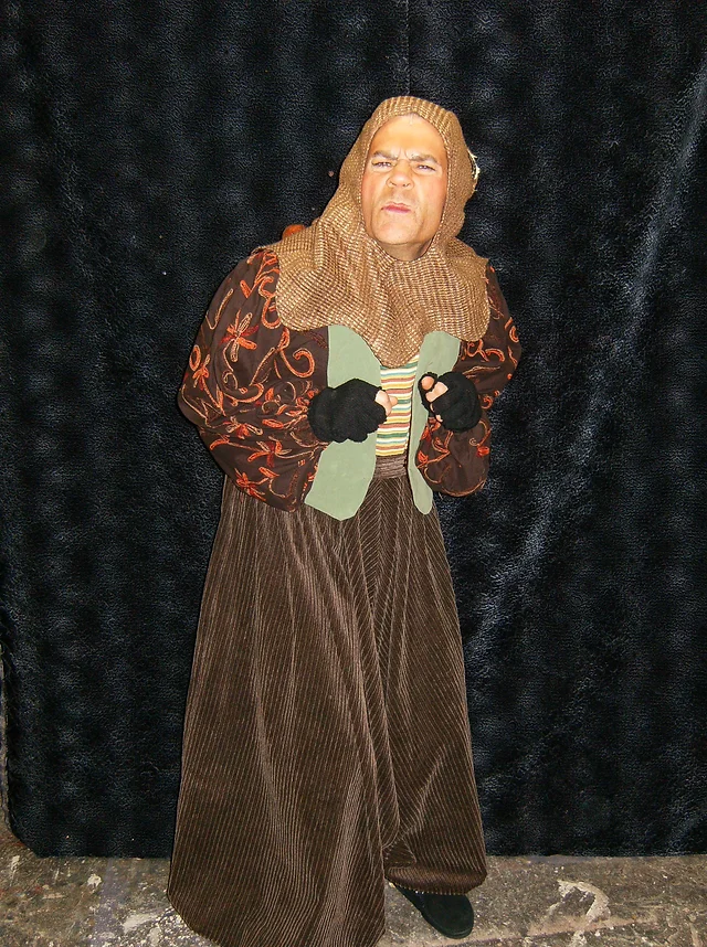 The Lion The Witch And The Wardrobe Costumes