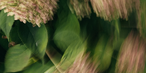 Screenshot 2026-07-08 100948.png