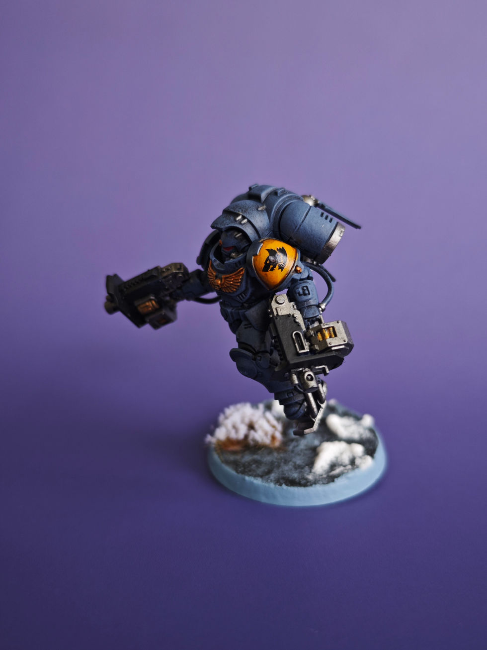 LOBOS ESPACIALES (4)