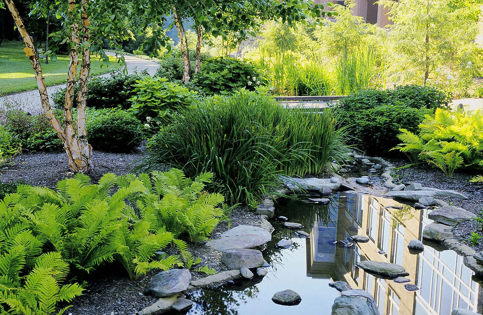 Water landscaping Independence Mo