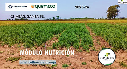 Módulo Nutrición Chabás.jpg