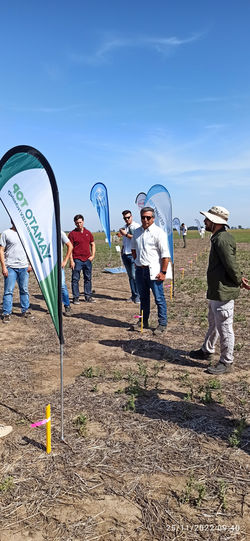 IMG_20221125_094006 - copia