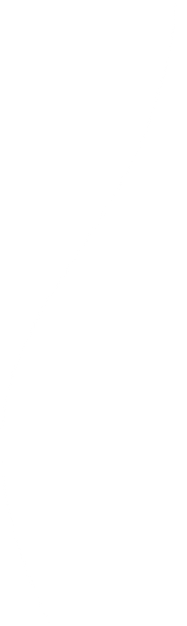 Forme Site Blanc.png
