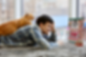 Ready Raw Fish cats 2-Camera.png