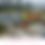 Thumbnail: Giants by OSGEMEOS - Double Sided Poster