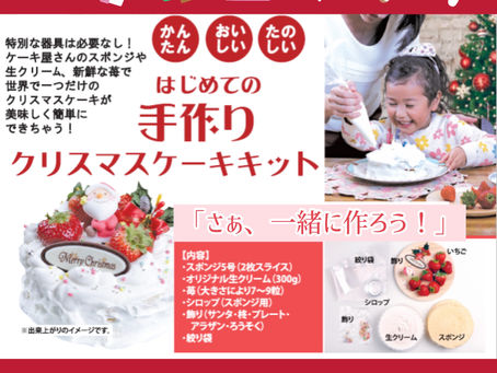 世界でたったひとつの手作りクリスマスケーキ
