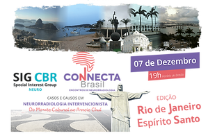 Logo Connecta Rio Espirito Santo (1).png