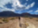 IMG_3387.jpeg