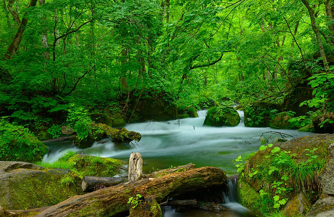 Fotolia_76473288_L.jpg