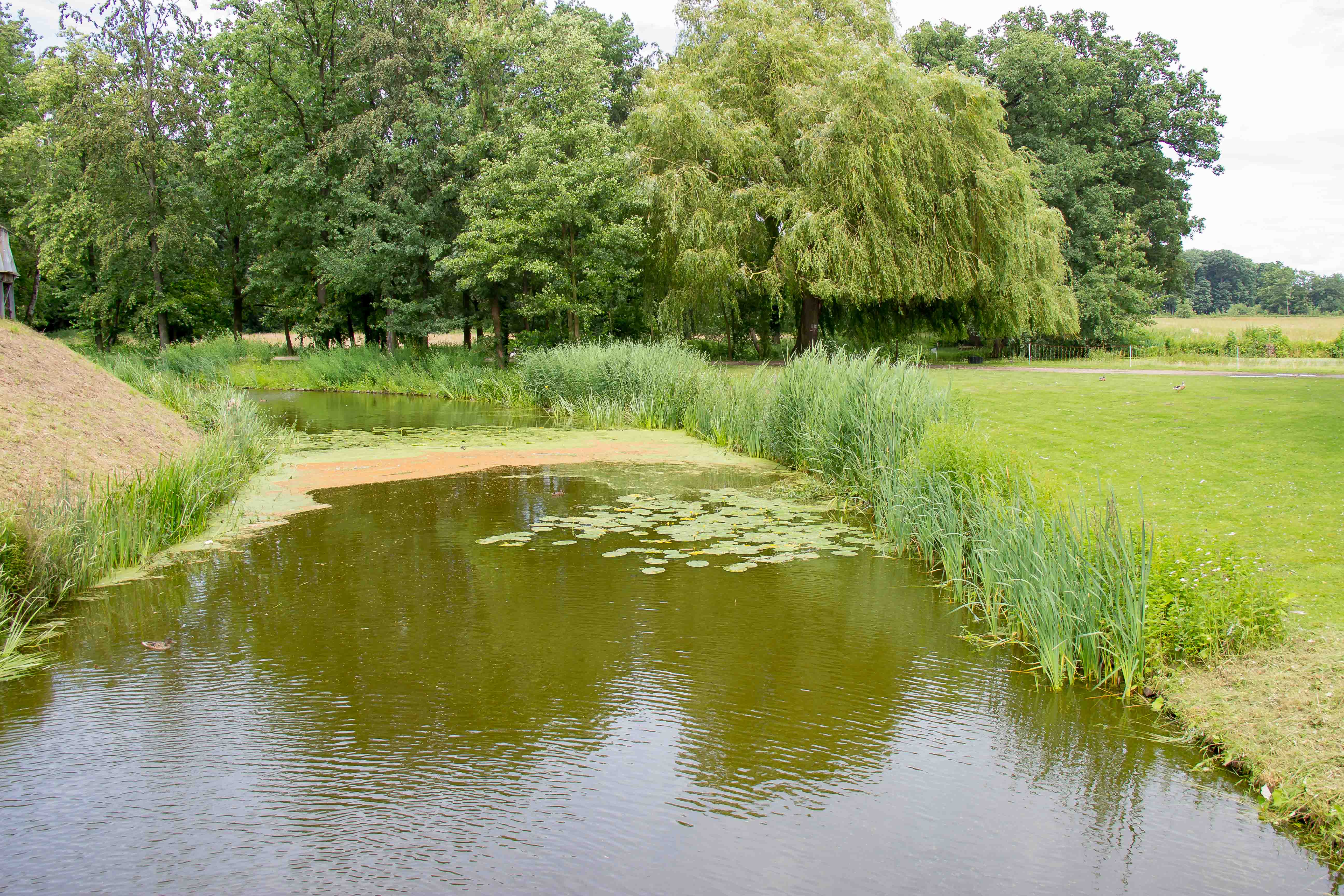 MOAT PIETERSHEIM