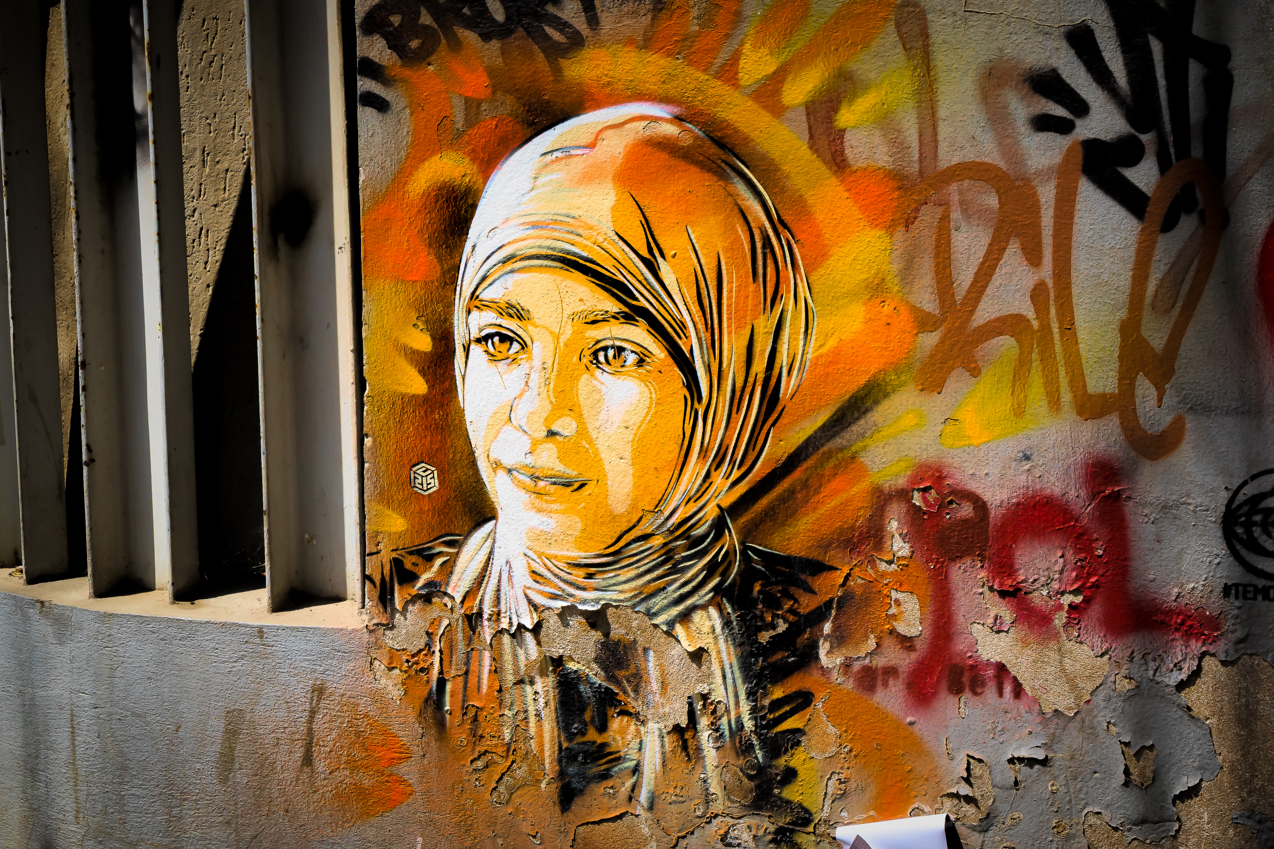 Artist: C215-Christian Guémy