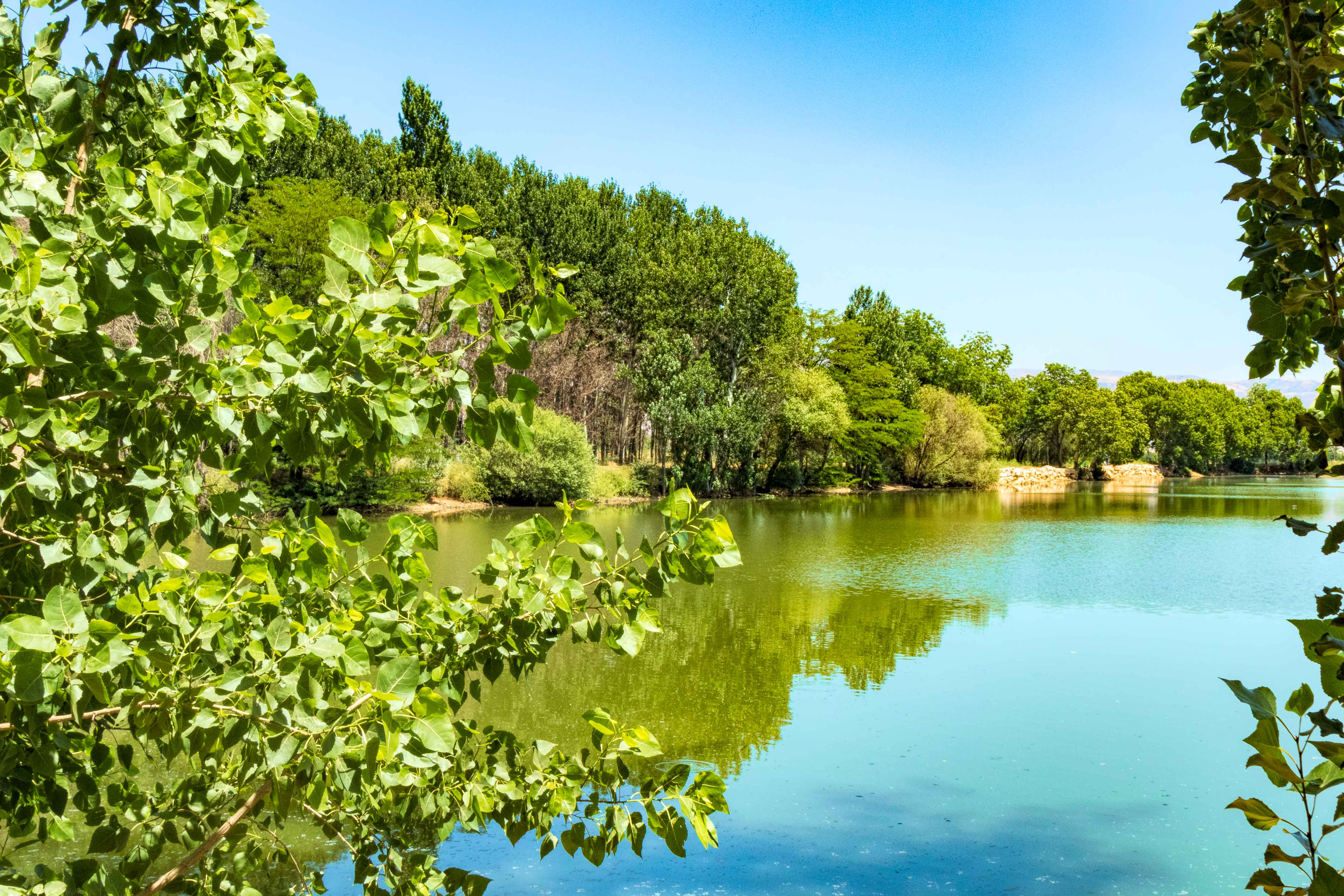 TAANAYEL FARM & LAKE