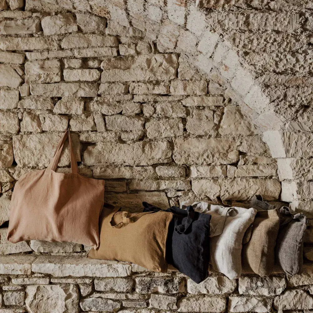 CABAS Lucciana - Haomy