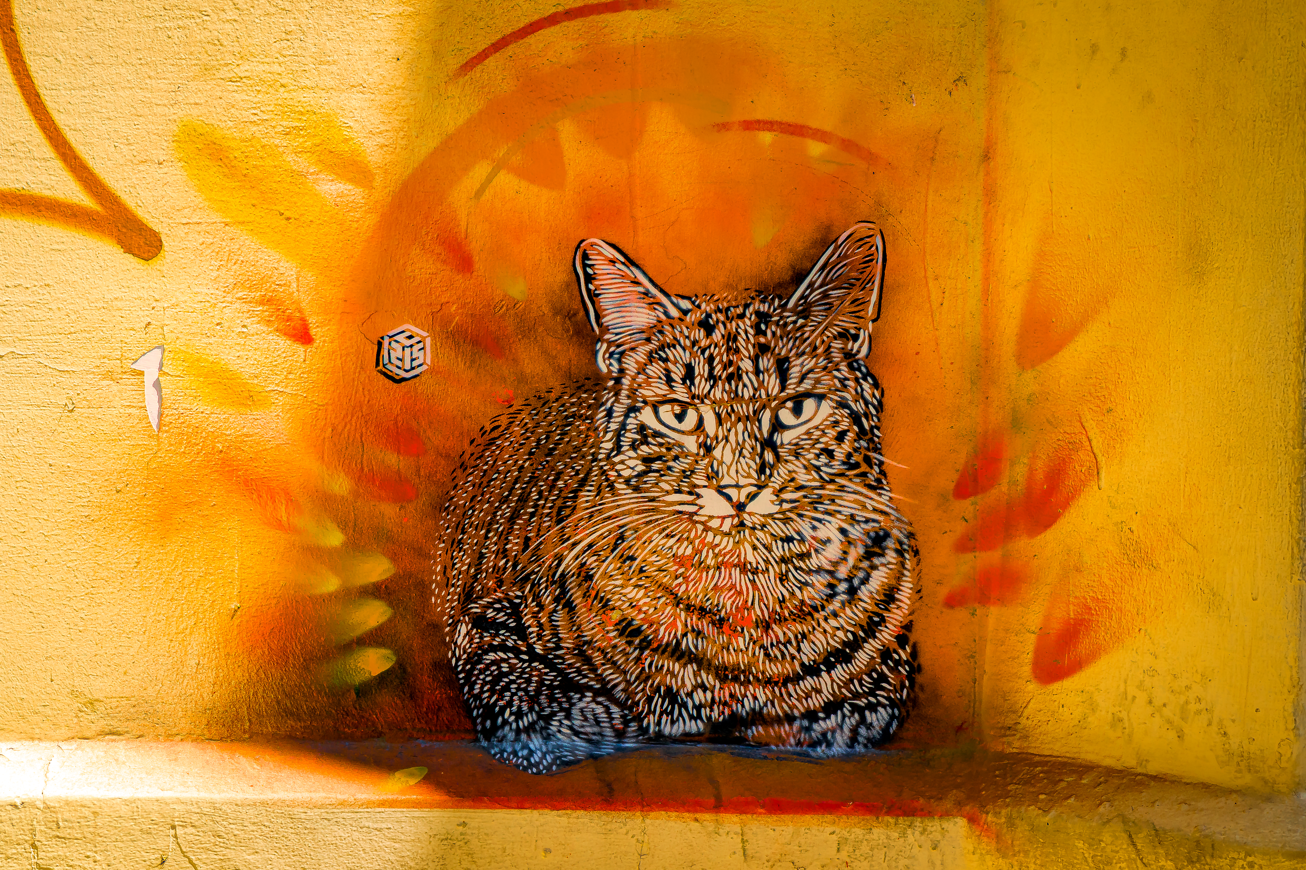 Artist: C215-Christian Guémy