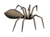 running spider animation