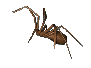 Big fat juicy spider animated gif