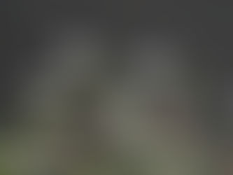 white and pink wild flowers on a black background