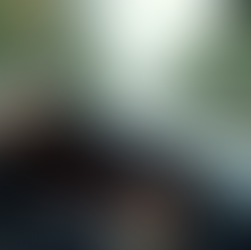 SAVE 50% OFF TRAFFIC FINES PAYMENTS