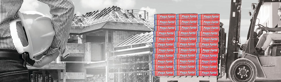 final banner principal page en construcc